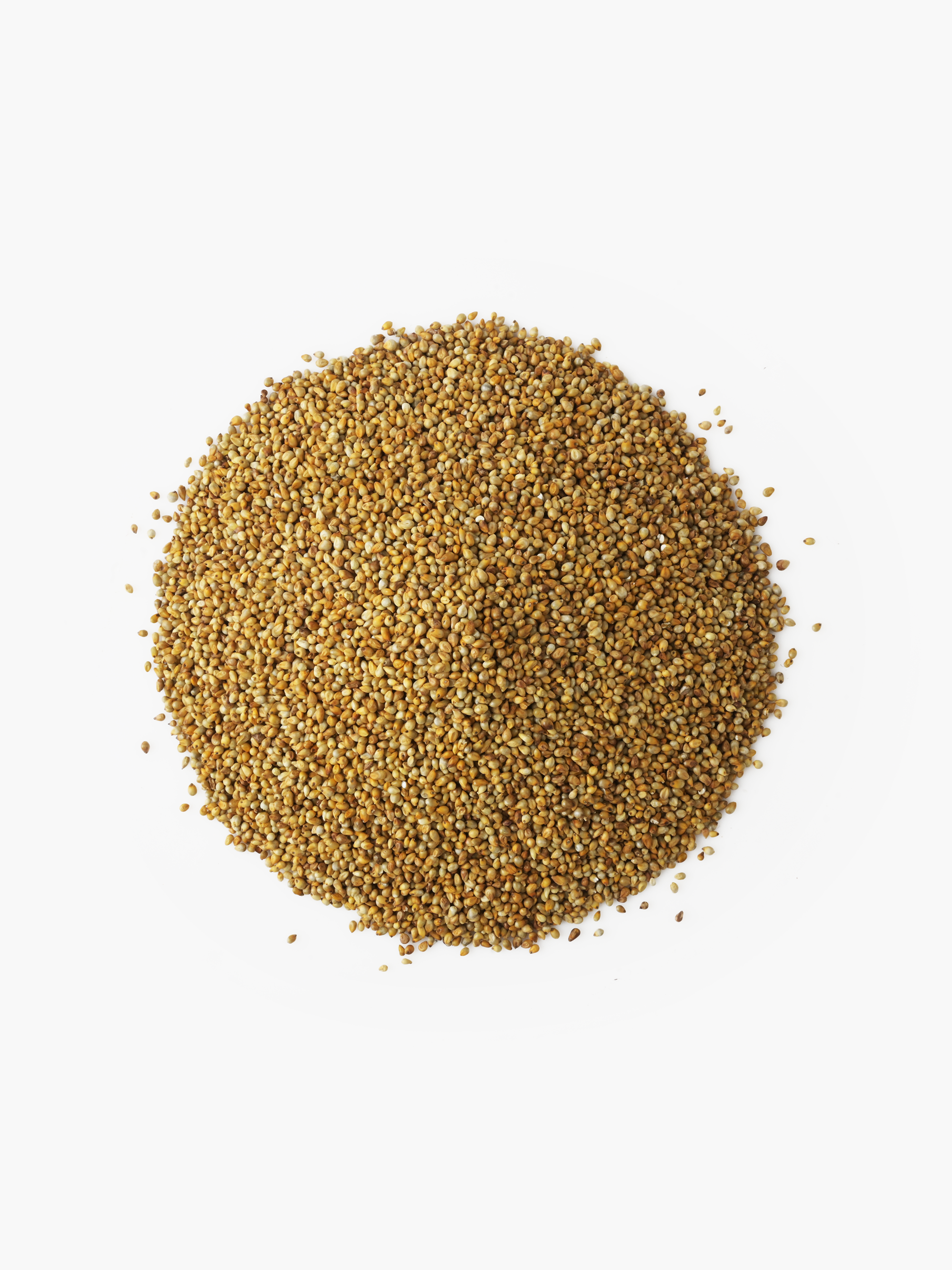 Whole Pearl Millets