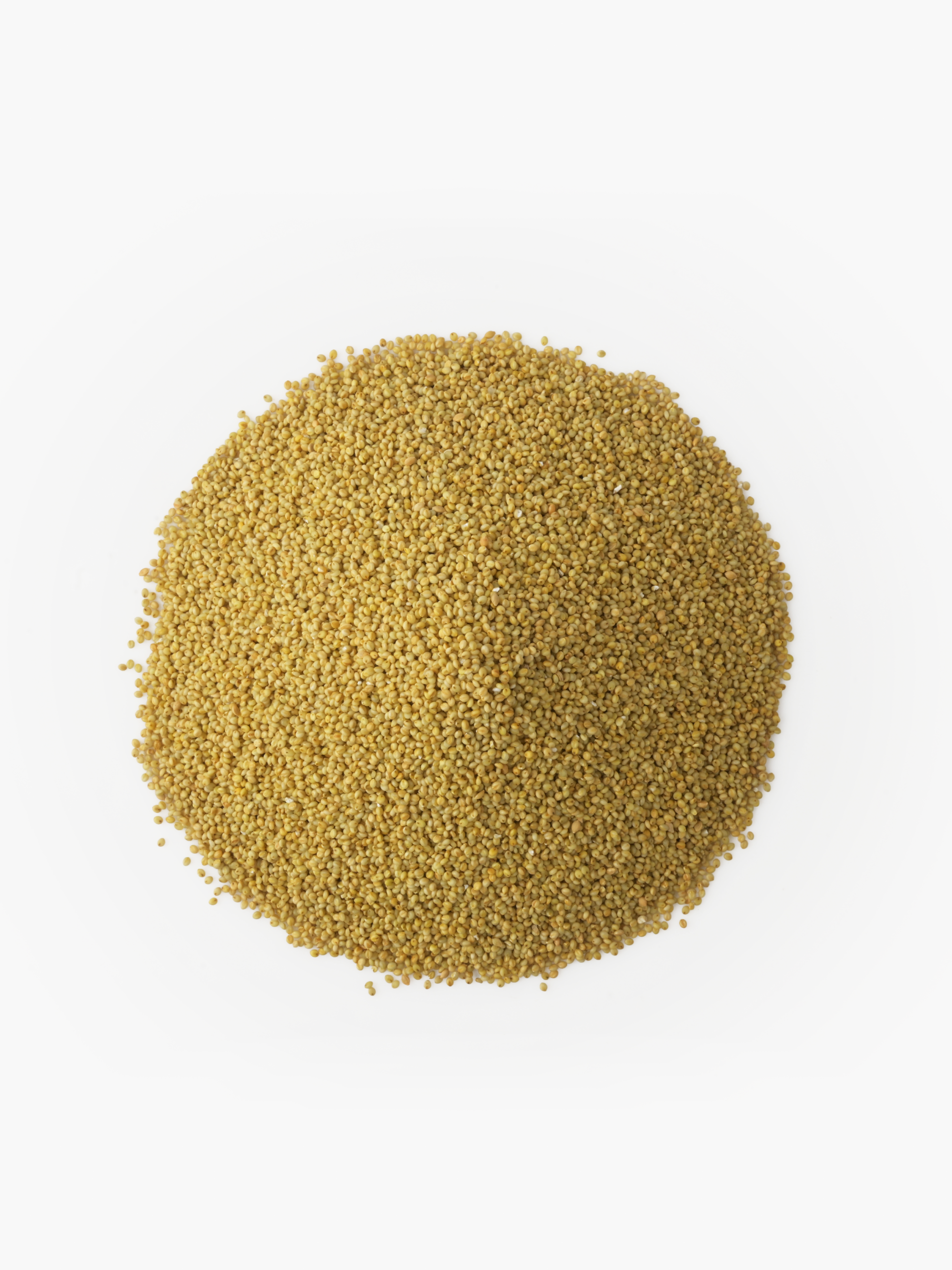 Whole Browntop Millets