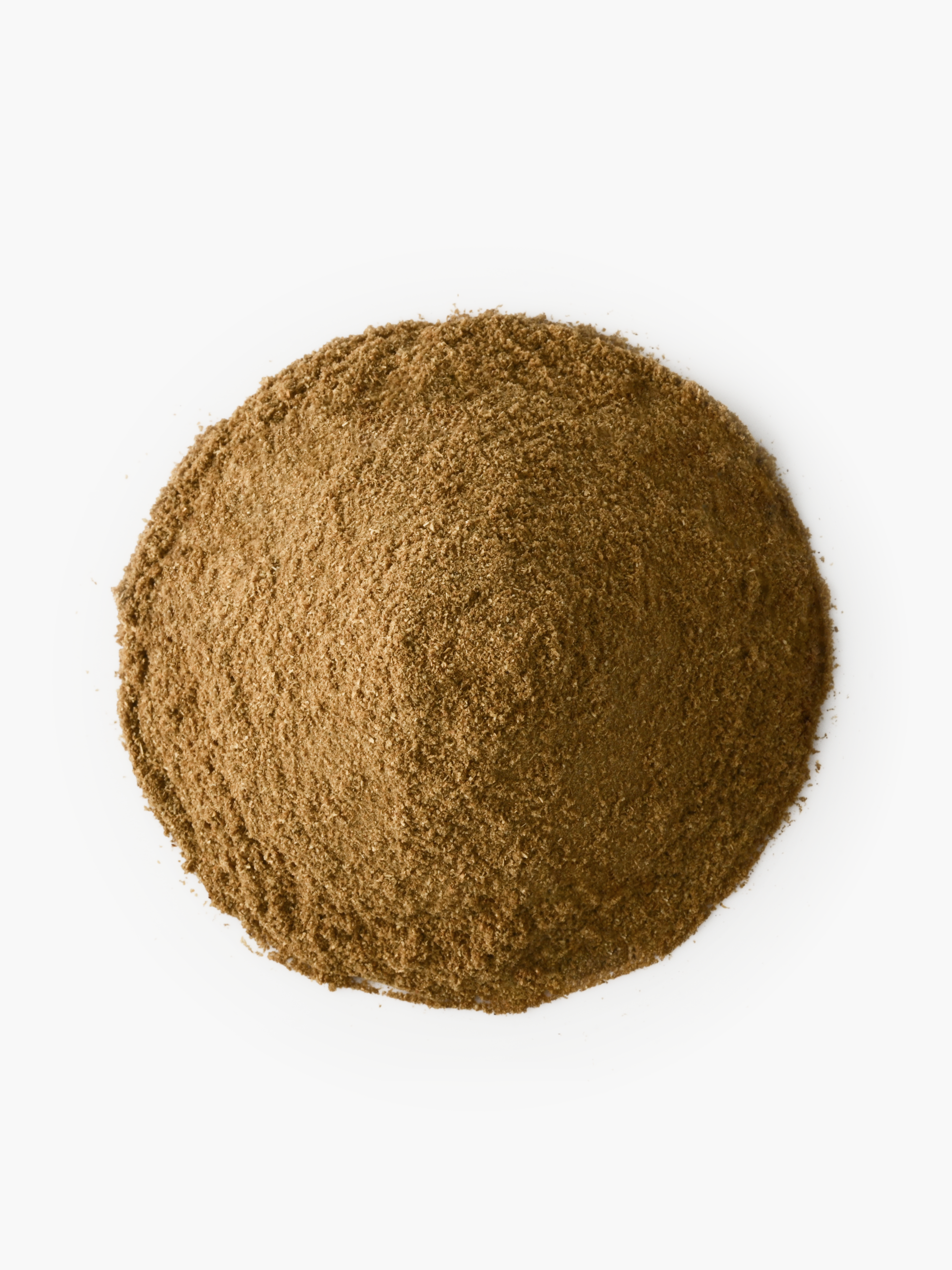 Ground Coriander Seeds