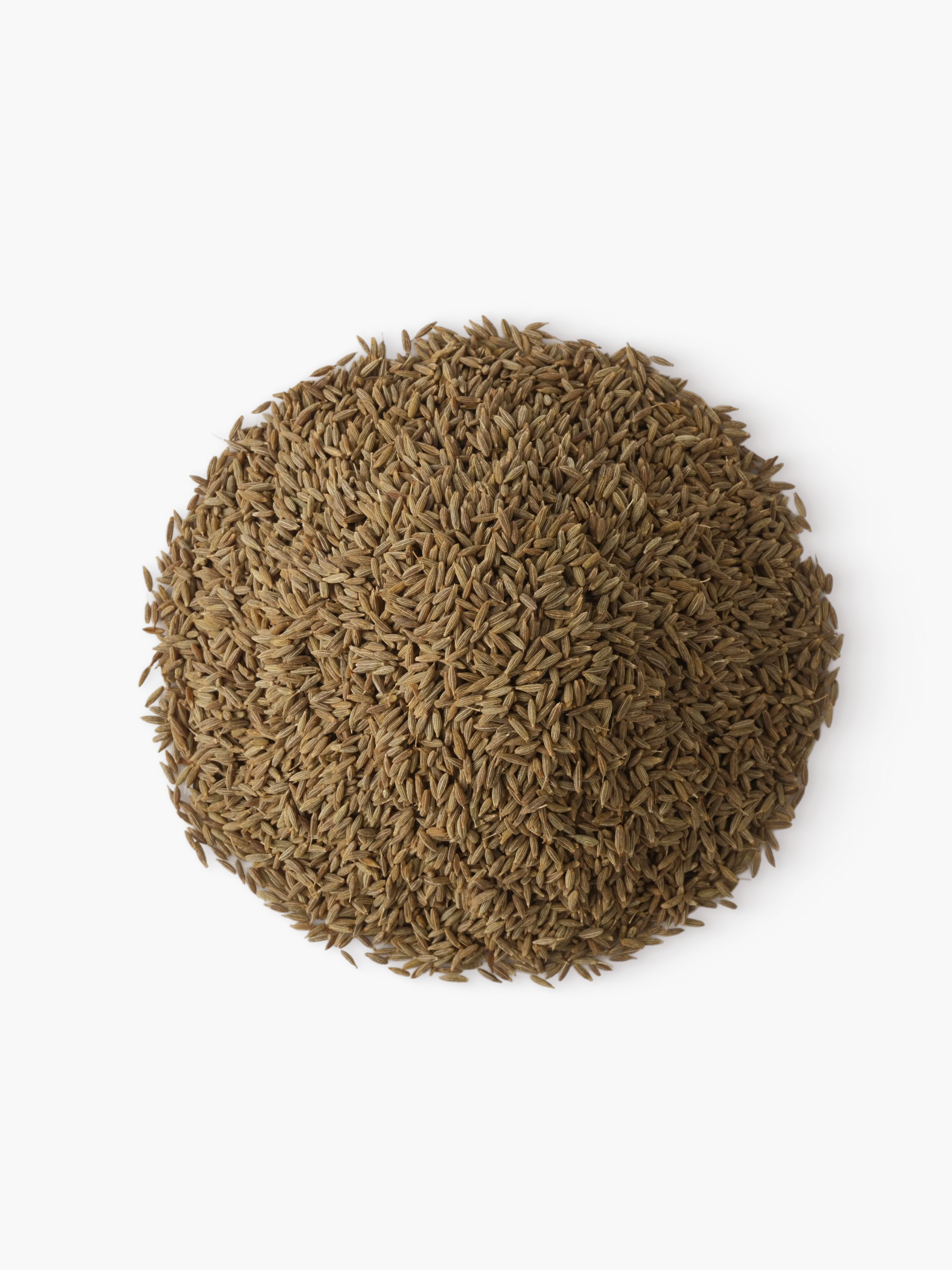 Whole Cumin Seeds