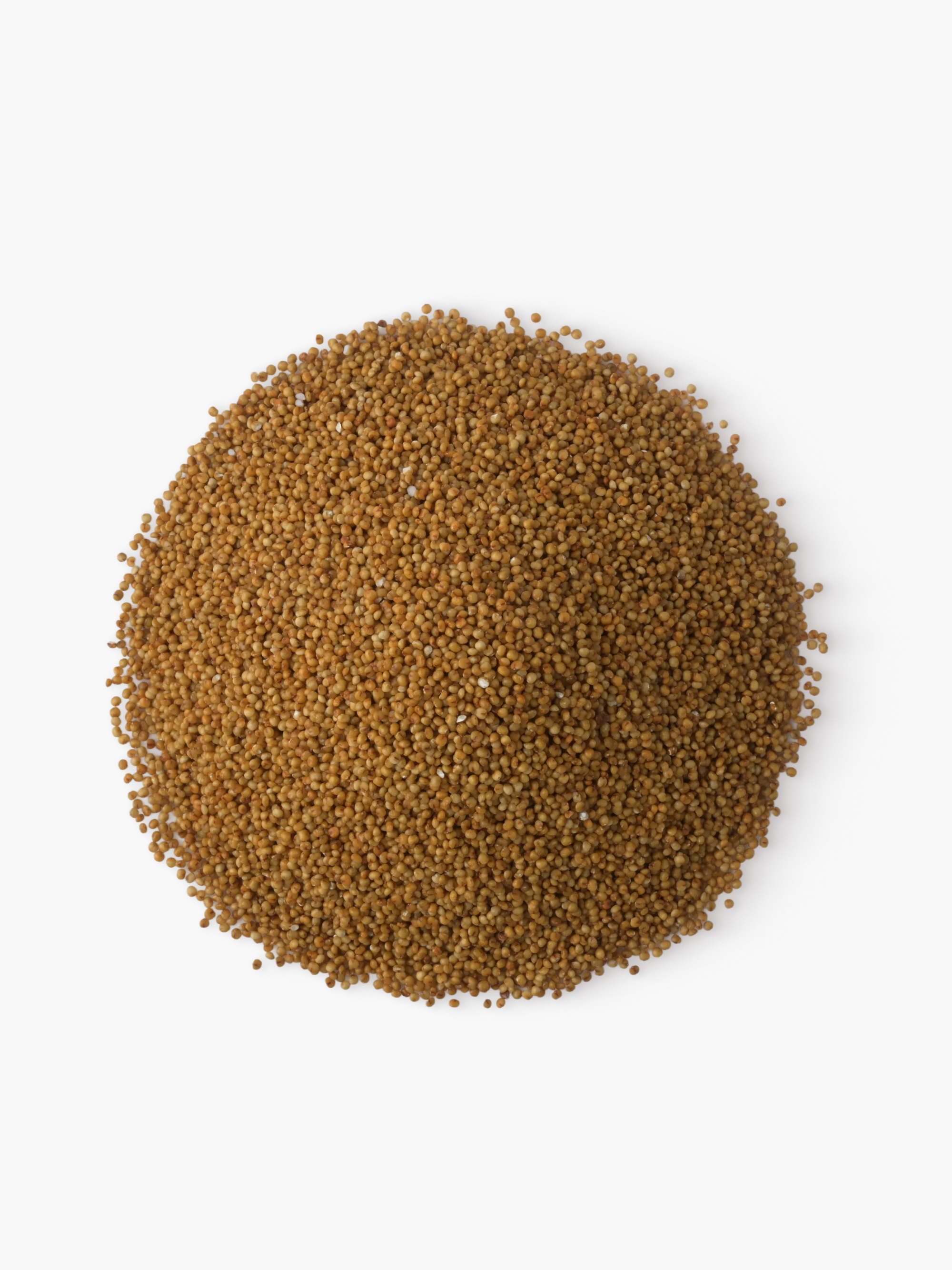 Whole Kodo Millets