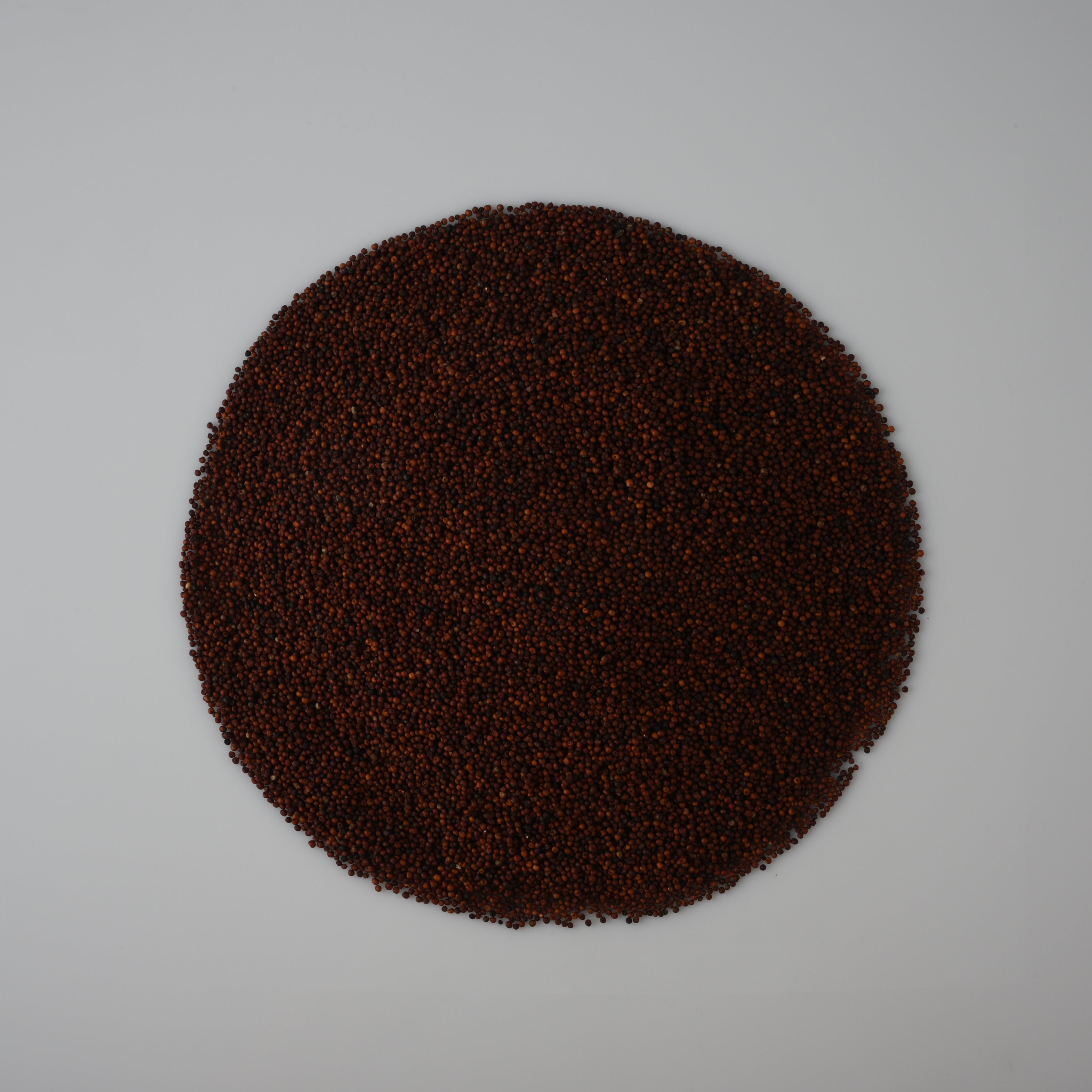 Whole Finger Millets