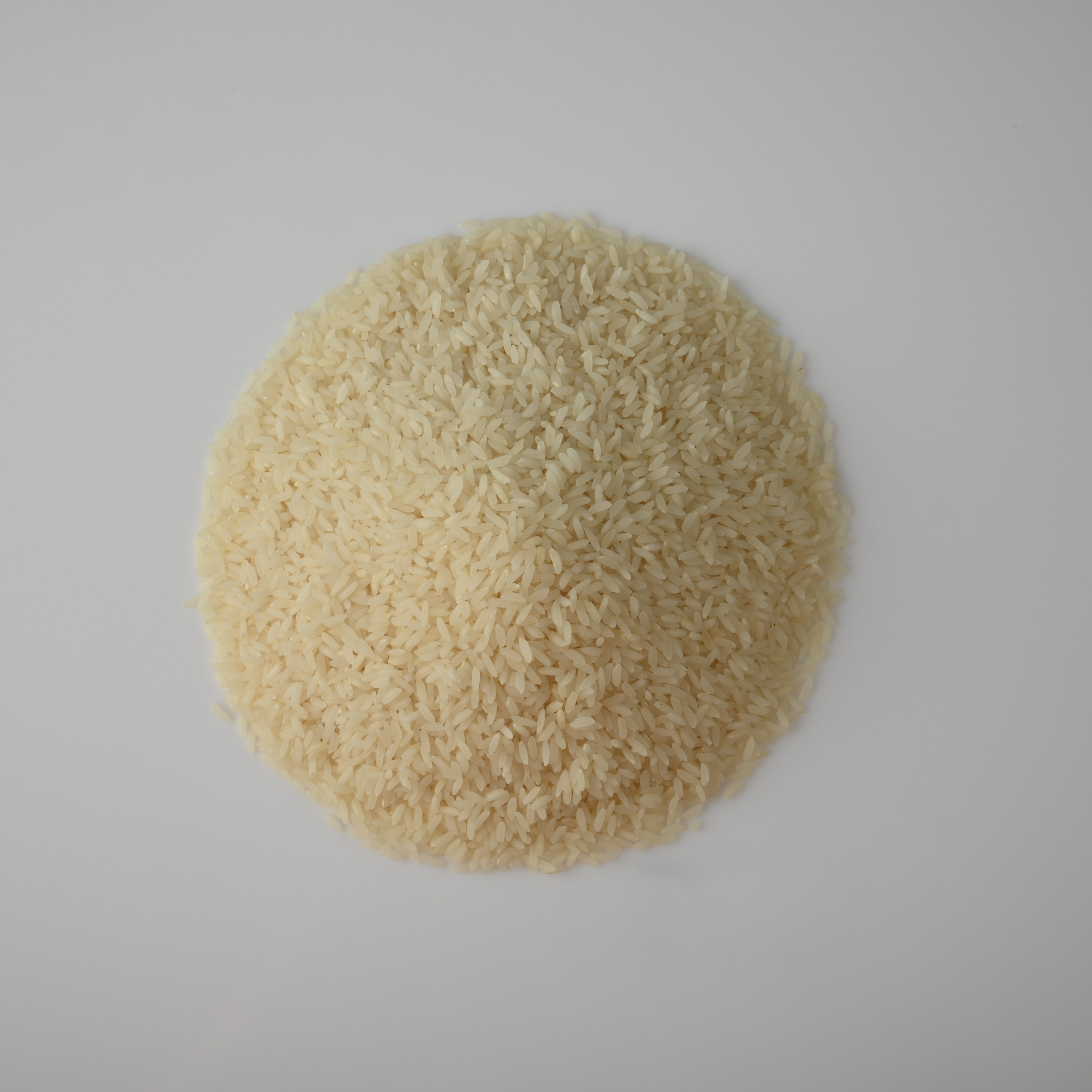 White Sona Masuri Rice