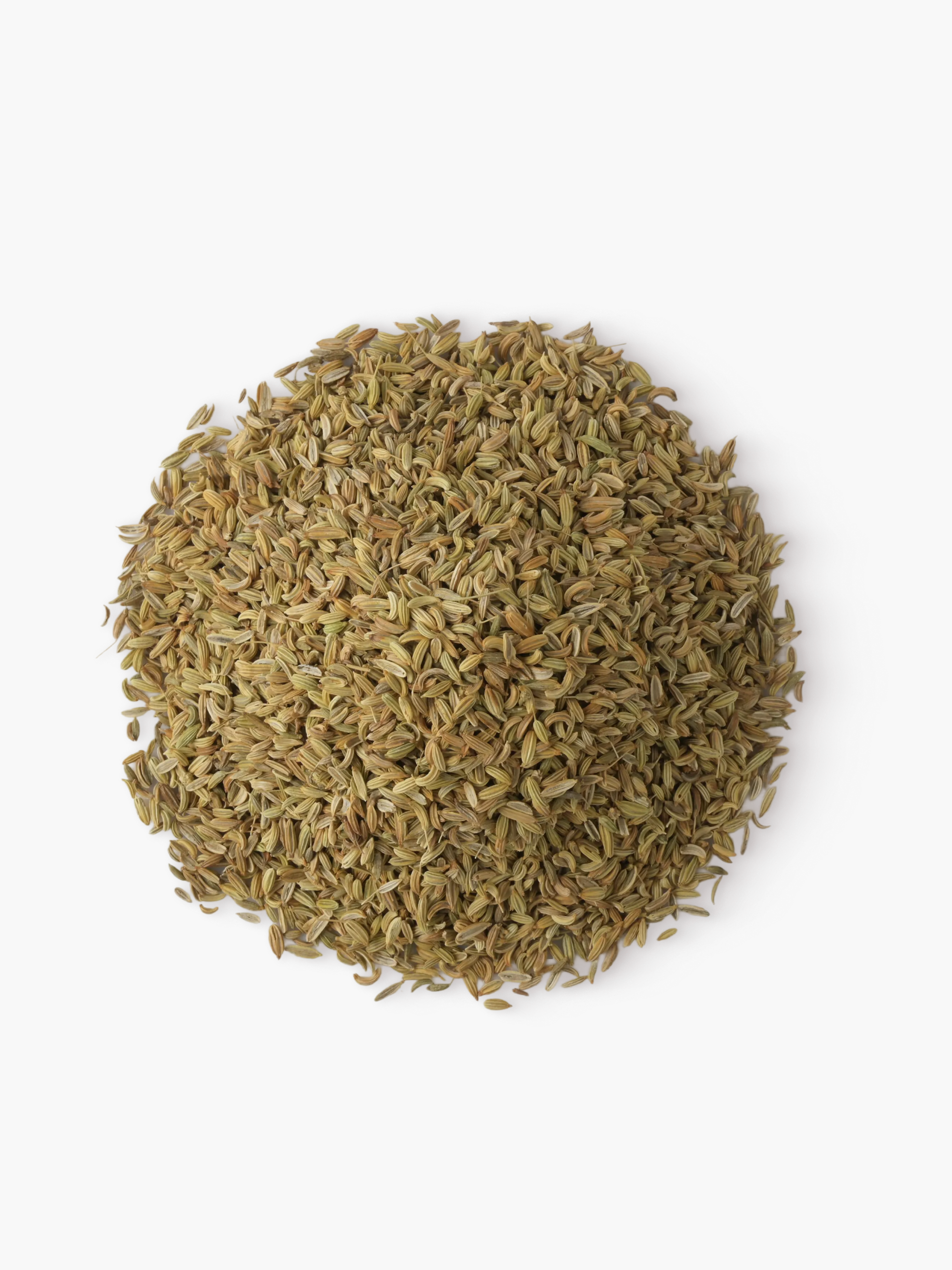 Whole Fennel Seeds