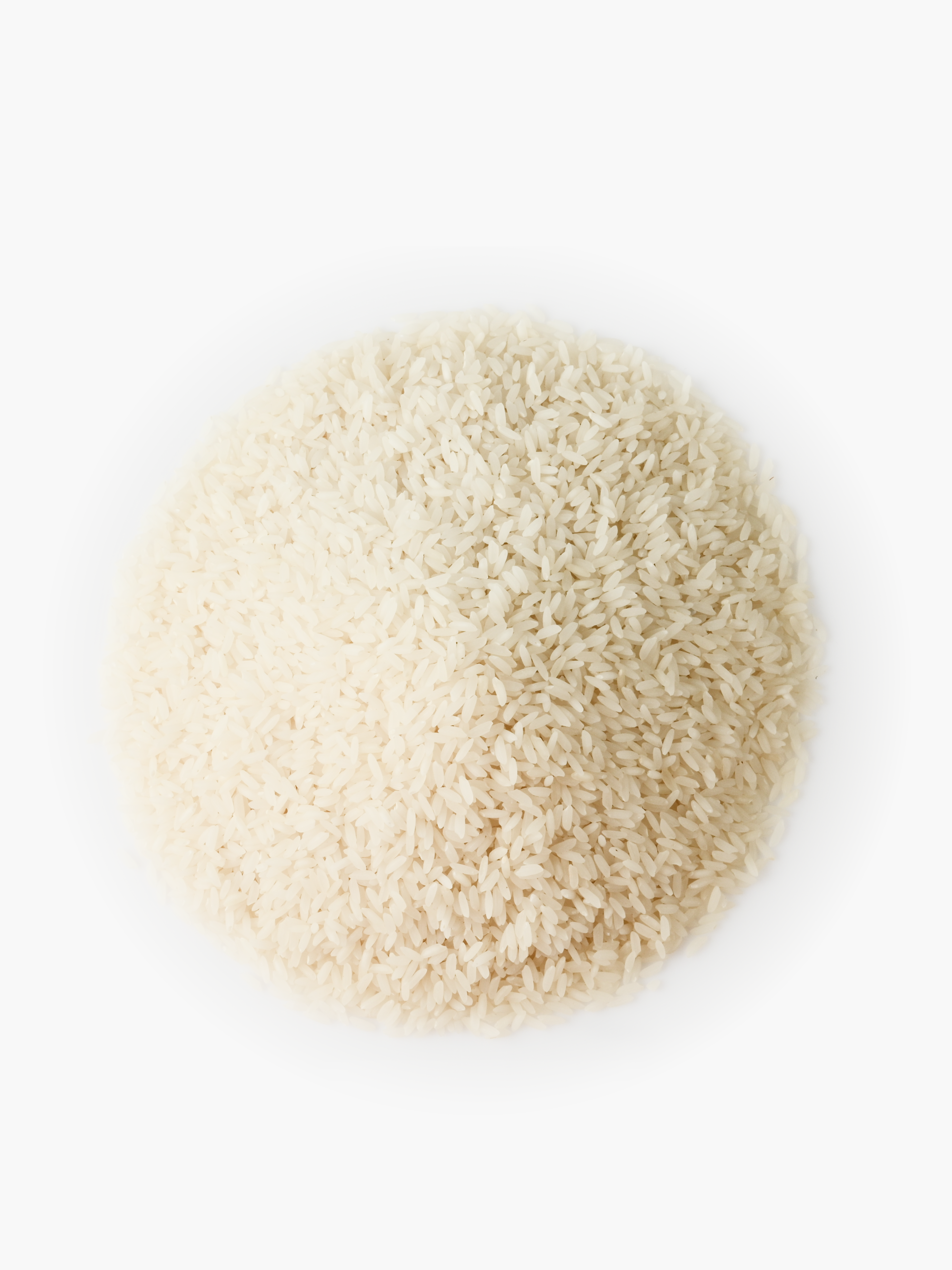 White Sona Masuri Rice