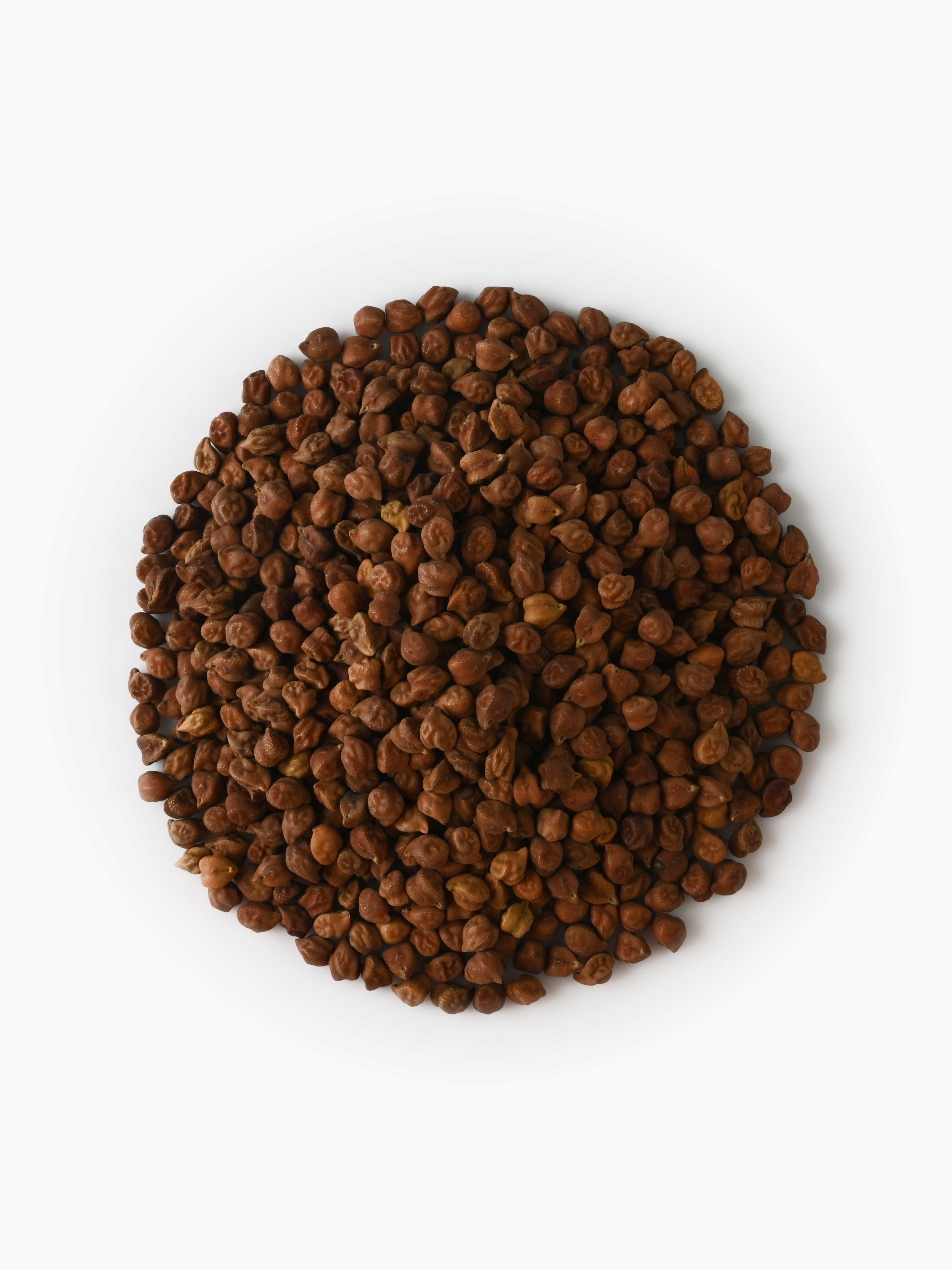 Whole Black Chickpeas