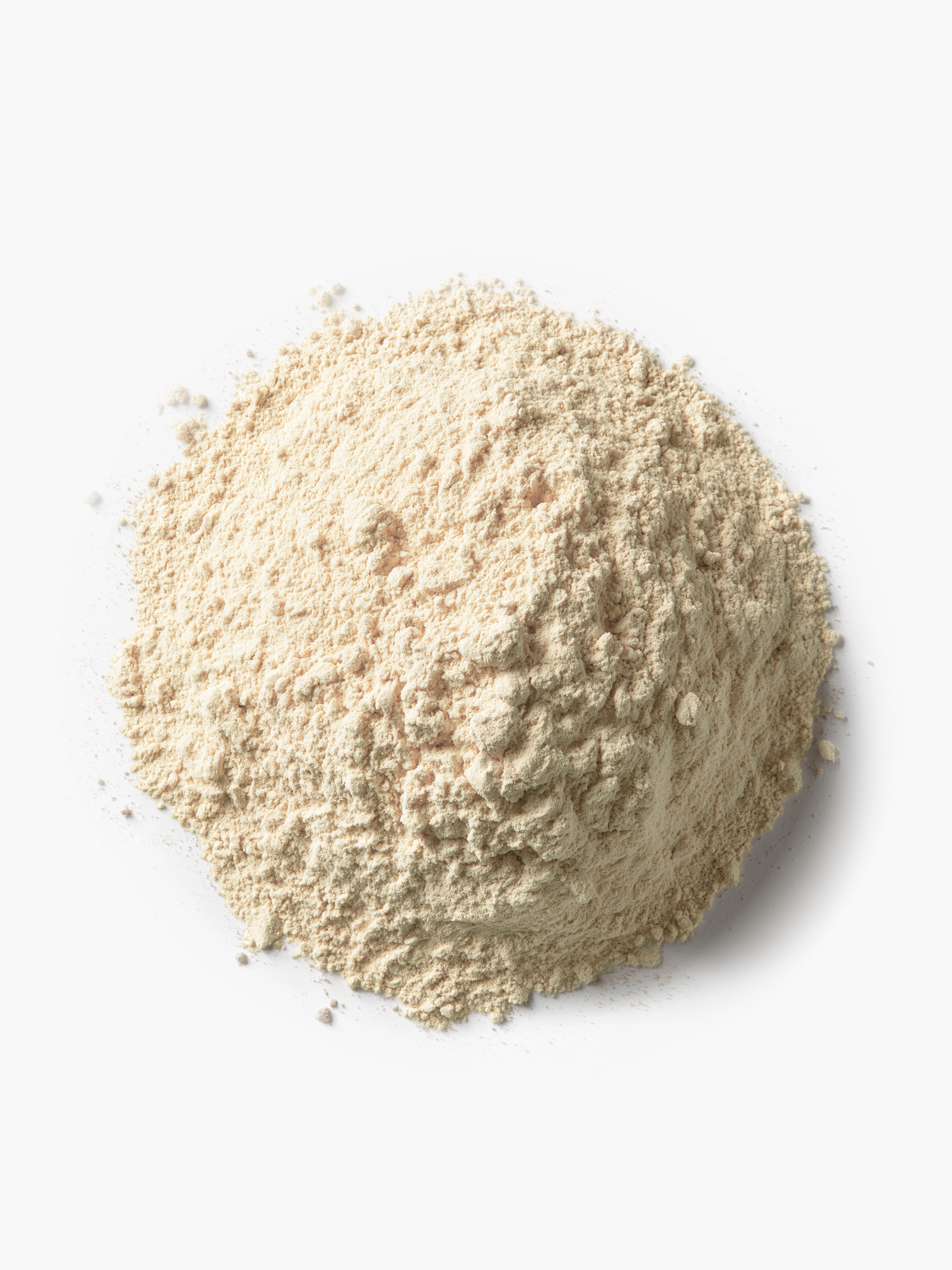 Wholewheat Flour