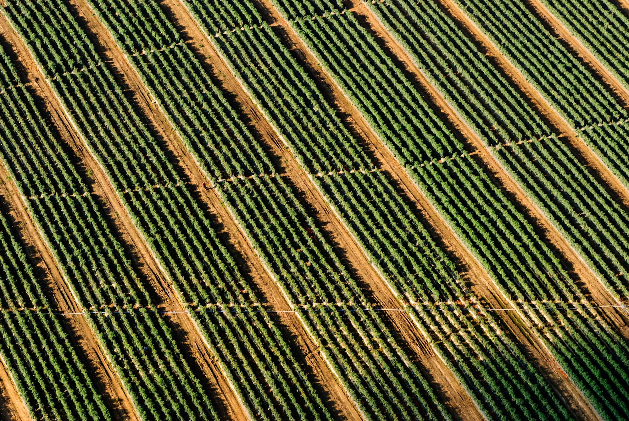 Khet & Co.